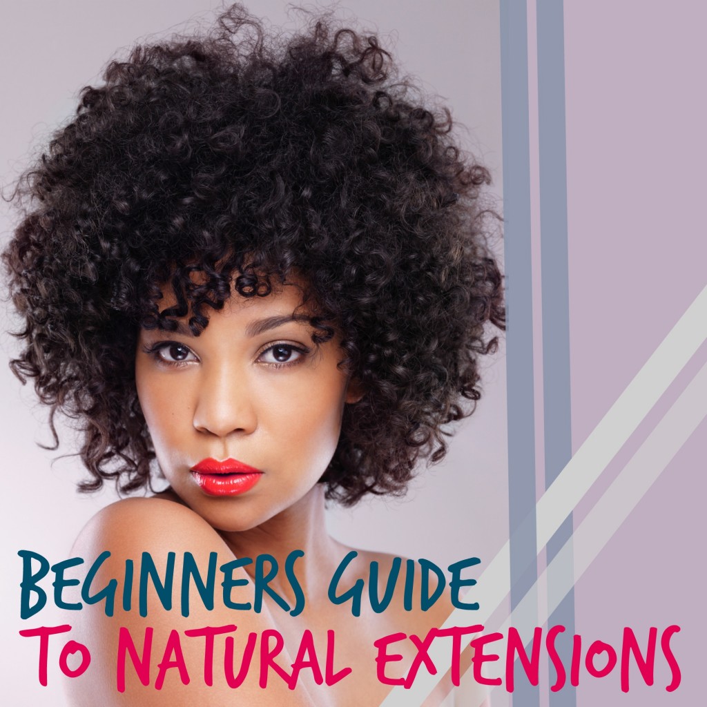 "A Beginners Guide To Natural Extensions