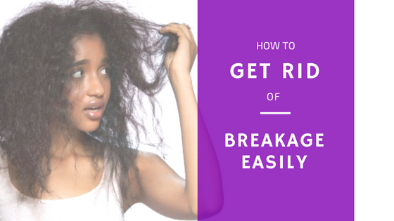 "How to Get Rid of Hair Breakage Easily